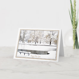 Überlegungen: Neujahr: Boston Public Garden Feiertagskarte