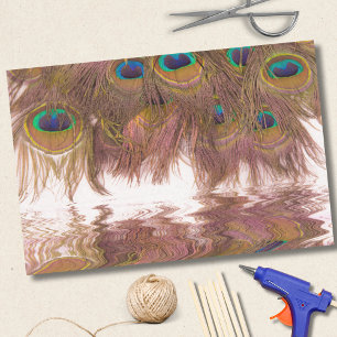 Überlegungen zu Pfauenfedern Seidenpapier