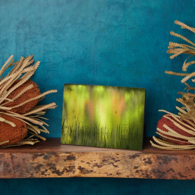 Überlegungen zum Mirror Lake | Yosemite Fotoplatte (Seite)