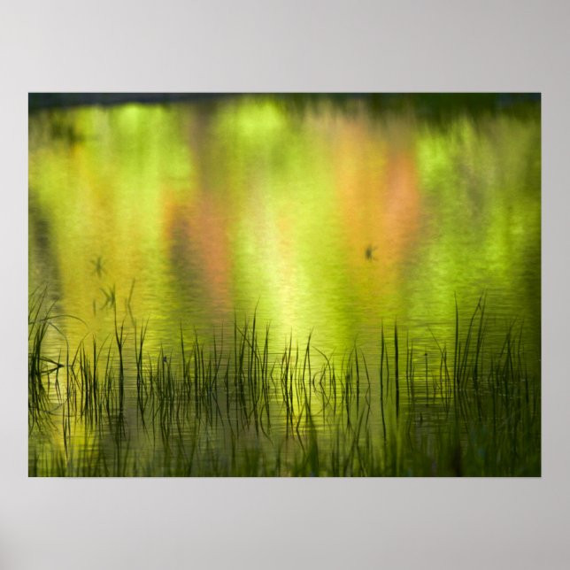 Überlegungen zum Mirror Lake | Yosemite Poster (Vorne)