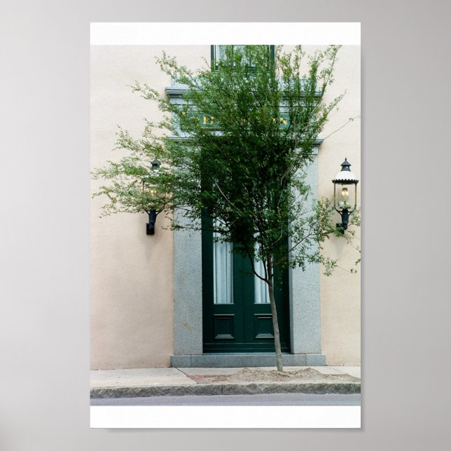 Übernahme der Natur Poster (Vorne)