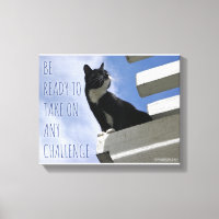 Übernehmen Sie die Niedliche Cat-Motivation der We