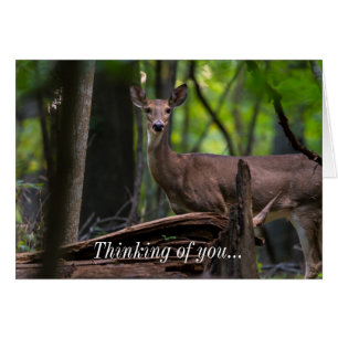 Überprüfen Sie das Denken Ihrer Karte