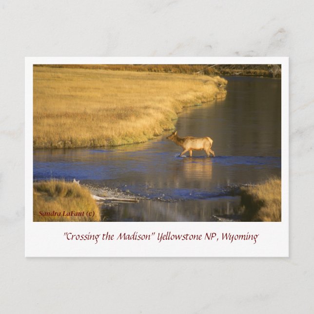 Überqueren der Postkarte des Madison (Vorderseite)