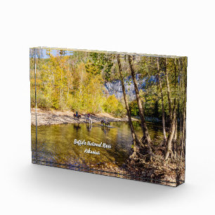 Überqueren des Buffalo-Fotos Fotoblock