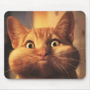 Überraschende Katze Mousepad