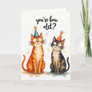 Überraschende Katzen-Geburtstagskarte Karte