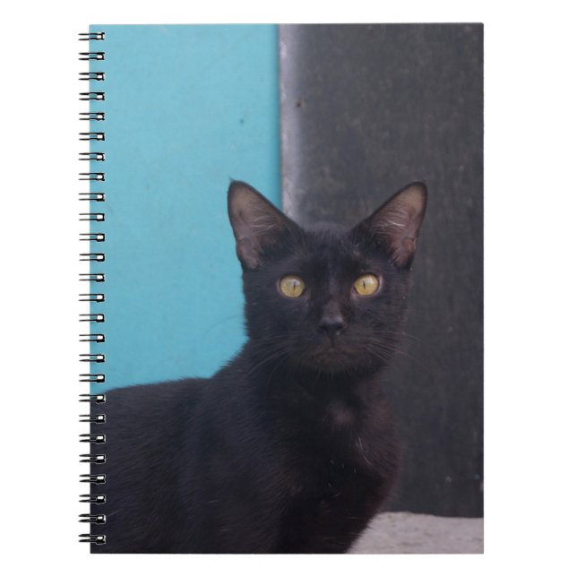 Überraschende Schwarze Katze Notizblock (Vorderseite)
