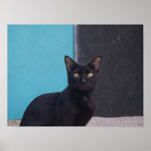 Überraschende Schwarze Katze Poster