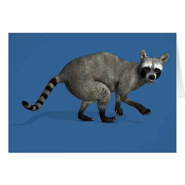Überraschender Raccoon (Vorderseite (Horizontal))
