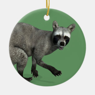 Überraschender Raccoon Keramik Ornament