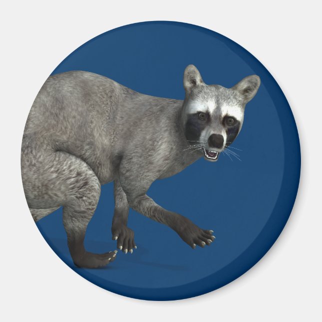 Überraschender Raccoon Magnet (Vorne)