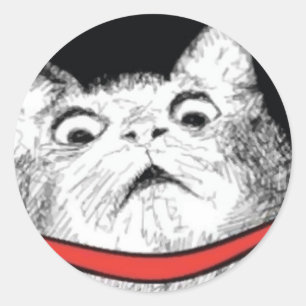 Überraschendes Cat Gasp Meme - Round Stickers