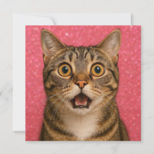 Überraschte Cat Grußkarte. Karte