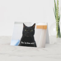 Überraschte Katze Funny Geburtstag