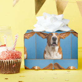 Überraschter Basset Hound Geschenkpapier