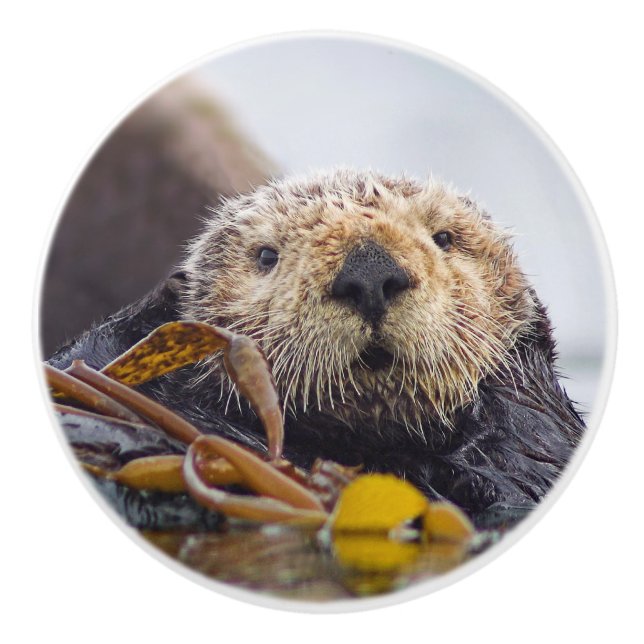 Überraschungsknopf Keramikknauf (Vorderseite)