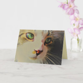 Übersehen der Glanzkatze mit grünen Augen Karte