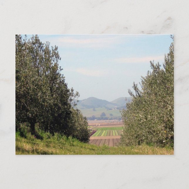 Übersehensan- juantal postkarte (Vorderseite)