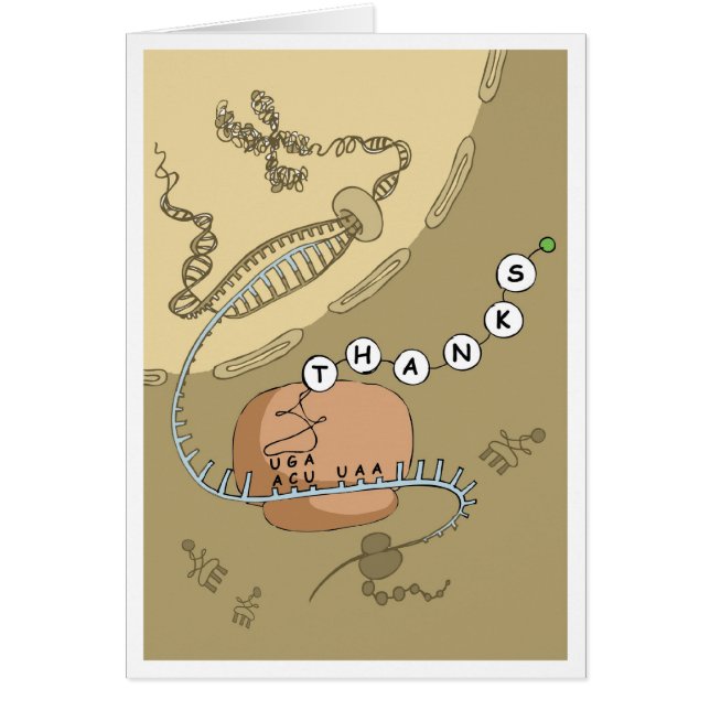 Übersetzung (Vorne)