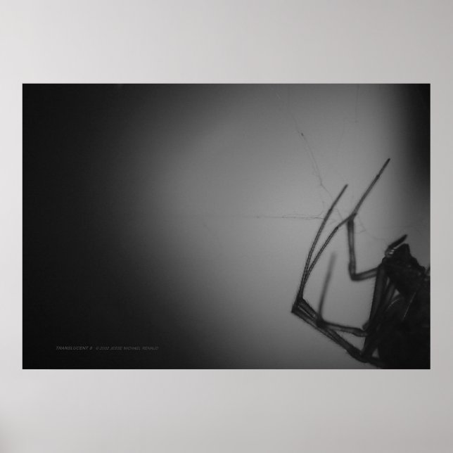 ÜBERSETZUNG 8 POSTER (Vorne)