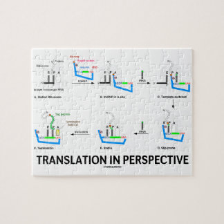 Übersetzung in der Perspektive (tRNA Puzzle