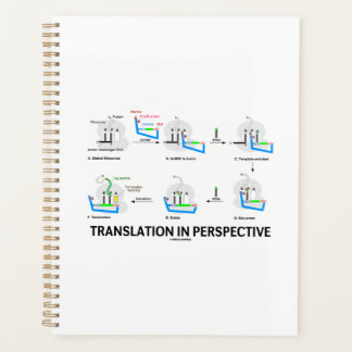 Übersetzung in perspektivem tRNA-Biologie-Protein Planer