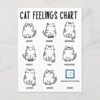 Übersicht über die Gefühle der Katze