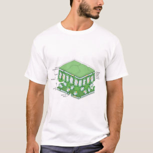 Übersicht über die Pflanze der Gewebestruktur T-Shirt