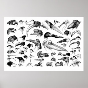 Übersicht über die Rechnungen Poster