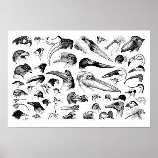 Übersicht über die Rechnungen Poster