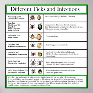 Übersicht über die verschiedenen Tipps und Infekti Poster