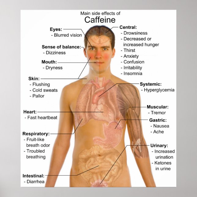Übersicht über die wichtigsten Nebenwirkungen von  Poster (Vorne)