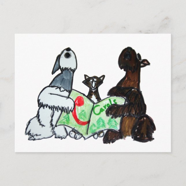 Übertragung Postkarte (Vorderseite)