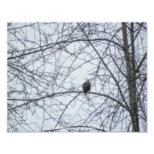 Überwachung Fotodruck