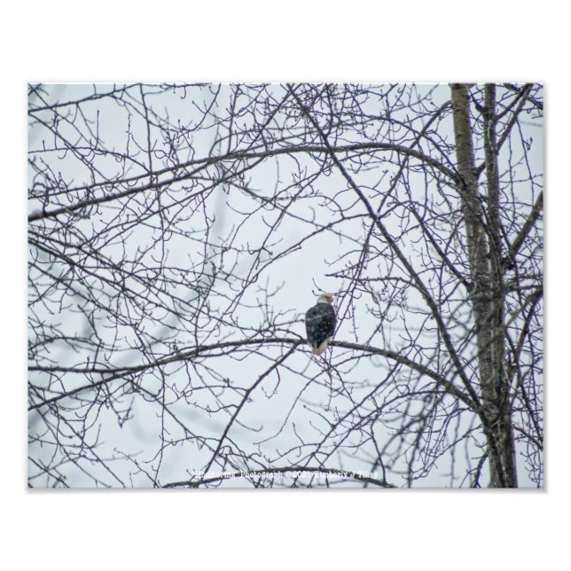 Überwachung Fotodruck (Vorne)