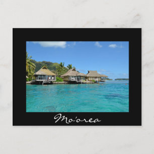 Überwasserbungalows Moorea Postkarte