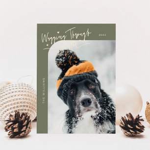 Überwinden des Winterhundes Foto Weihnachten