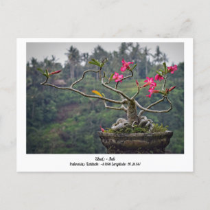 Ubud, Bali Indonesia Holiday Travel Postcard Feiertagspostkarte