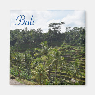 Ubud Bali Magnet