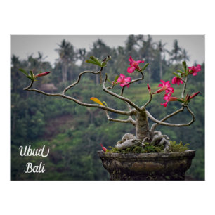 Ubud Travel, Bali Travel Poster