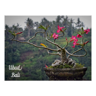 Ubud Travel, Bali Travel Poster