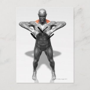 Übungen für die aufrechte Reihe 2 Postkarte