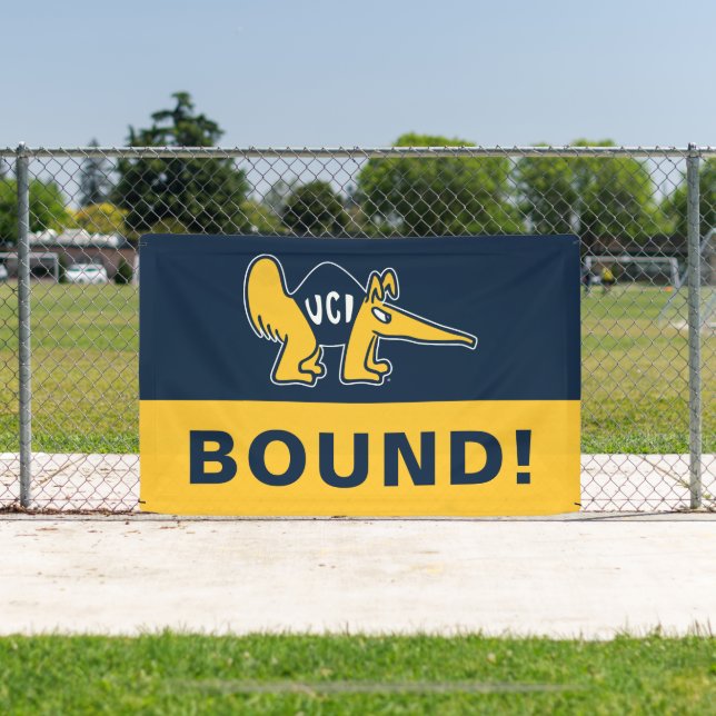 UC Irvine | UCI Anteaters Banner (InSitu)