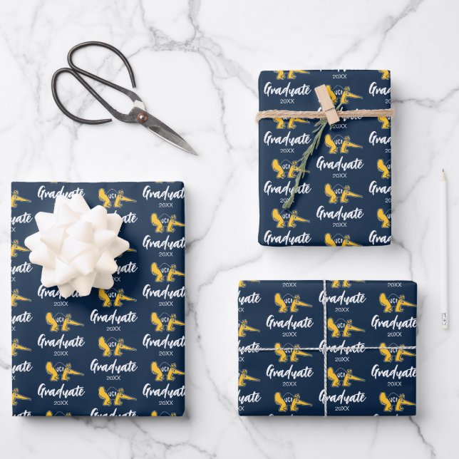 UC Irvine | UCI Anteaters Geschenkpapier Set (Vorderseite)