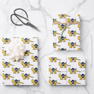UC Irvine UCI Anteaters Geschenkpapier Set