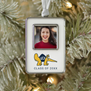 UC Irvine   UCI Anteaters Rahmen-Ornament Silber