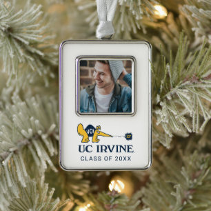UC Irvine   UCI Anteaters Zot! Rahmen-Ornament Silber