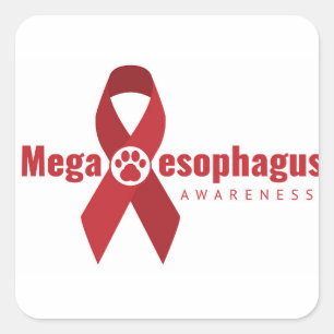 UCB-Aufkleber Quadratischer Aufkleber