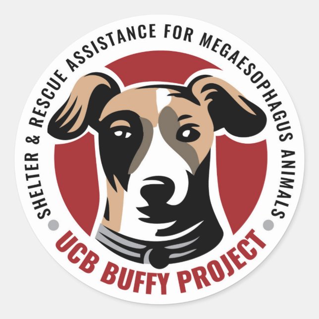 UCB Buffy Project Aufkleber (Vorderseite)